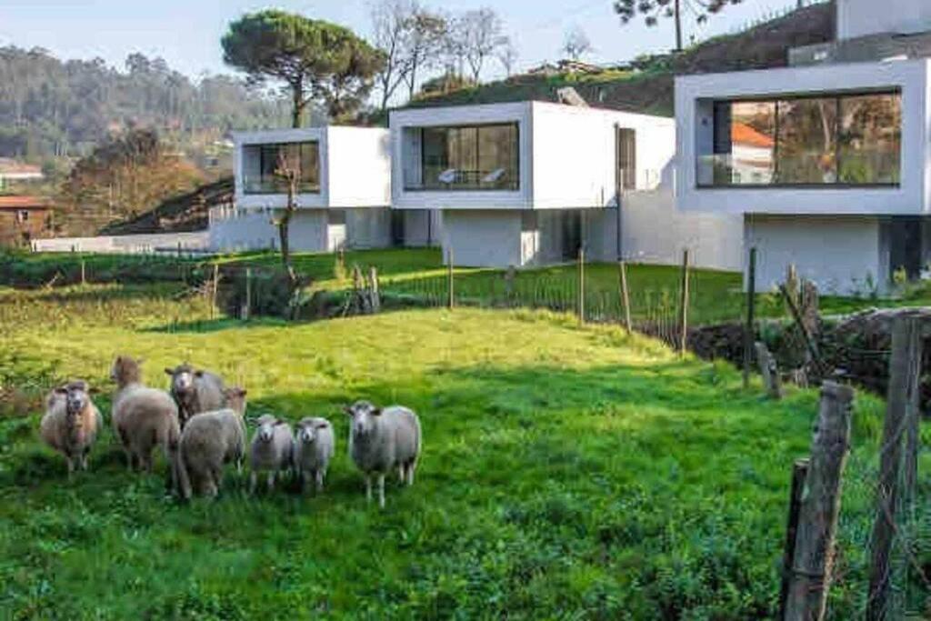 Viana Do Castelo - Amonde Village - Casa L - Disfrute Da Natureza المظهر الخارجي الصورة