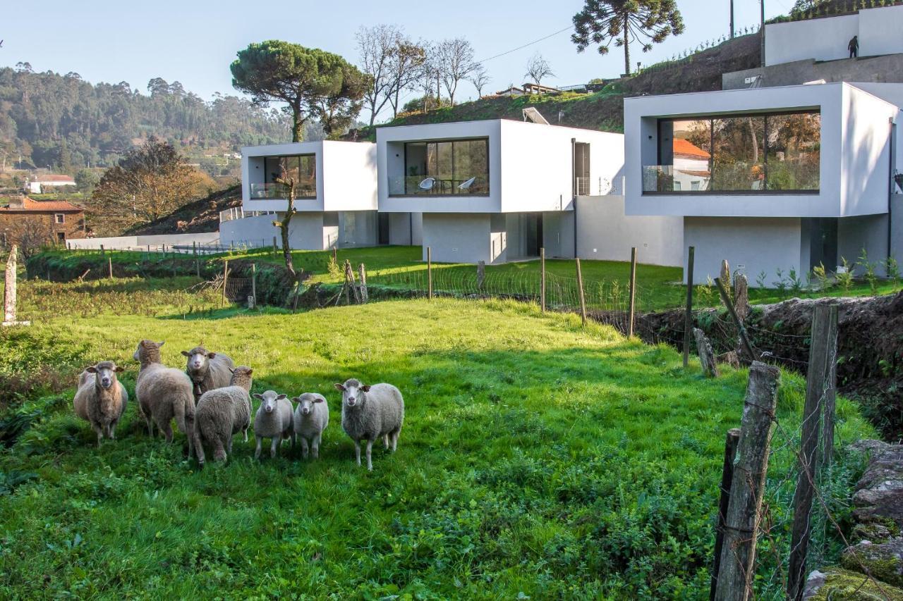 Viana Do Castelo - Amonde Village - Casa L - Disfrute Da Natureza المظهر الخارجي الصورة